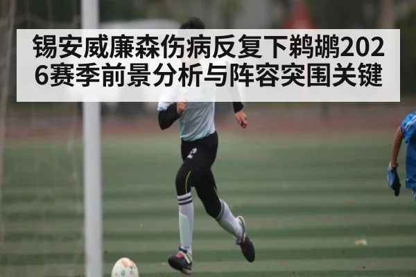 锡安威廉森伤病反复下鹈鹕2026赛季前景分析与阵容突围关键